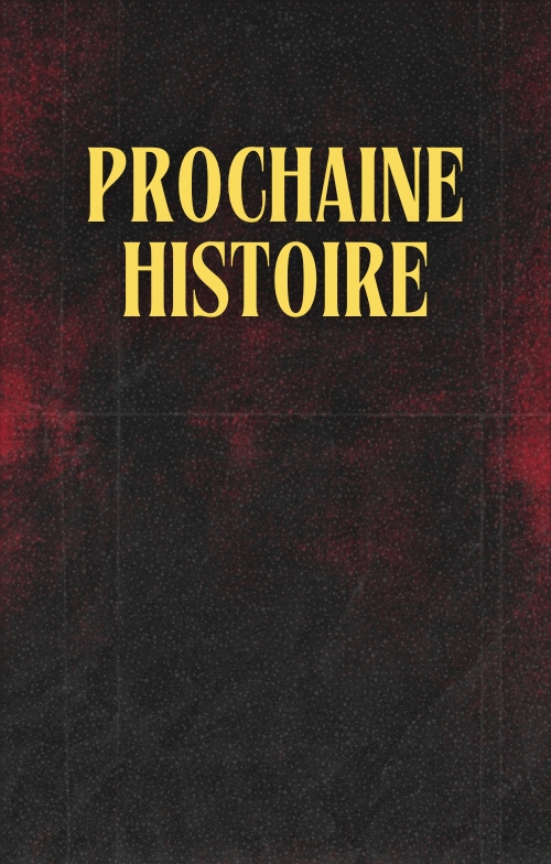 Roman en cours d'écriture